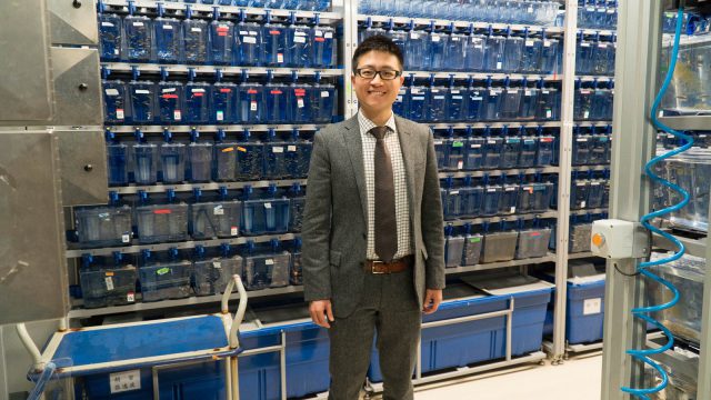 Convite de intercâmbio da Comissão de Desenvolvimento de Talentos endereçado ao Dr. Ip Wui, Doutorado da Faculdade de Medicina da Universidade Harvard 